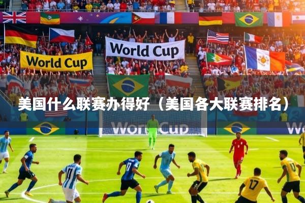 美国什么联赛办得好（美国各大联赛排名）