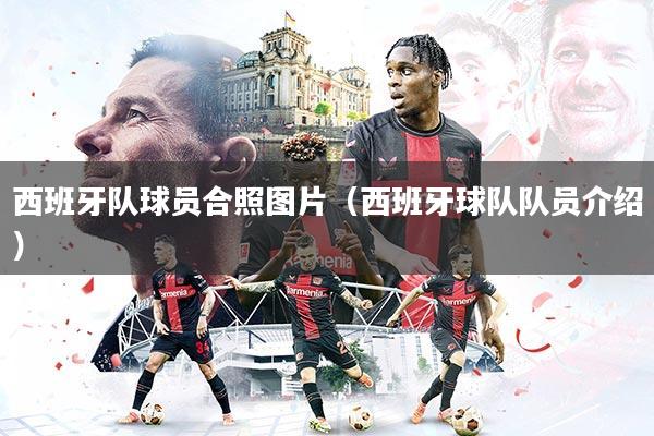 西班牙队球员合照图片（西班牙球队队员介绍）