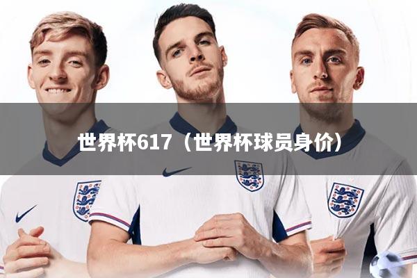 世界杯617(世界杯球员身价)